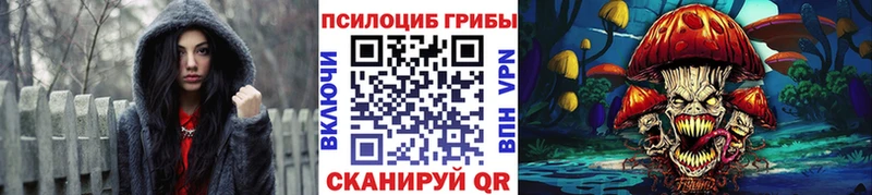Купить  Миньяр  Псилоцибиновые грибы MAGIC MUSHROOMS 